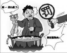 用开水烫怀孕母猫男子被开除