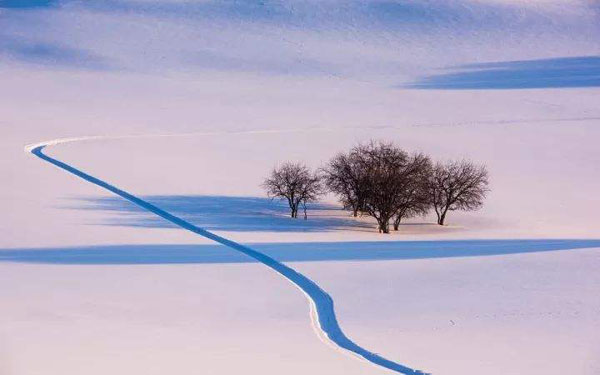 大雪节气吃什么养生