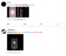 苹果客服回应iPhone12屏幕发绿：系统问题，稍后修复