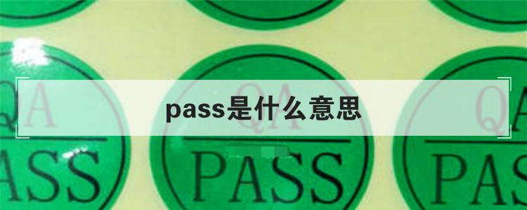 pass是什么意思