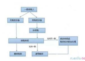 公司做账报税流程（一般纳税人做账报税流程）