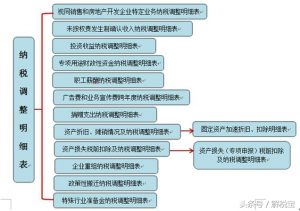 特别纳税调整应税所得（纳税调整项目有哪些内容）