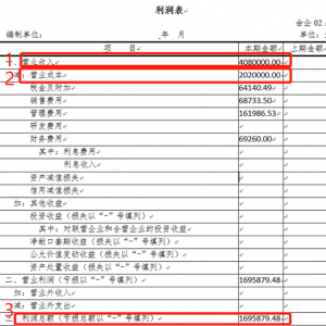 企业所得税报表怎么填（2021年企业所得税报表模板）