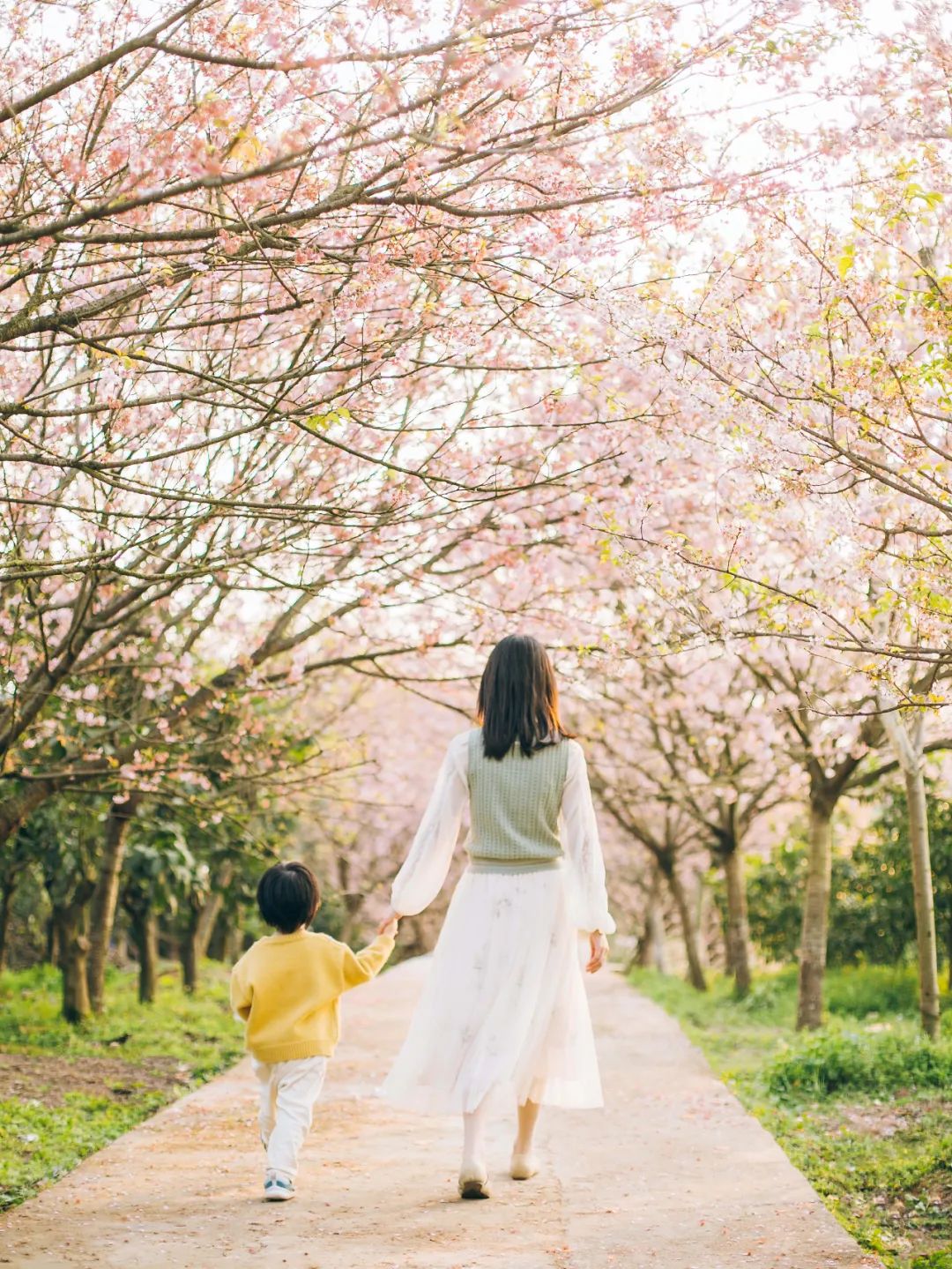 和朋友游花海的优美句子（适合发圈的心情说说）