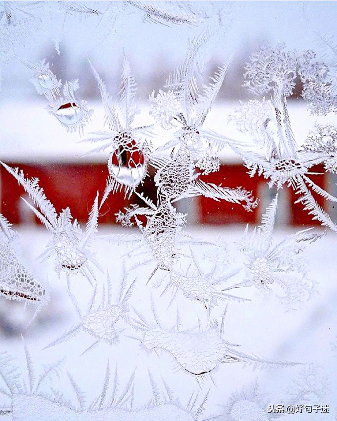 描写下雪的优美句子（感受雪景的心情短语）