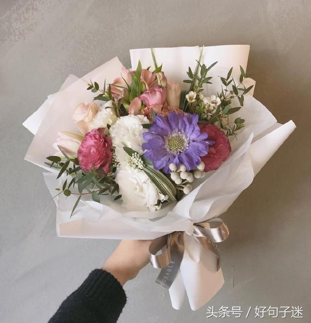 关于美丽的句子短句（女人要活得精致的经典语录）