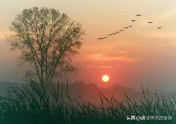 形容夕阳美景的诗句（赞美夕阳之景的十首名诗）