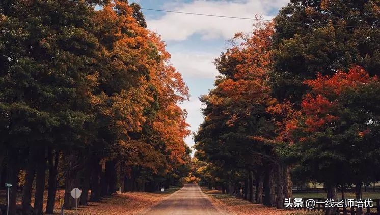 描写秋天的好句子摘抄（赞美秋天之景的好词好句大全）