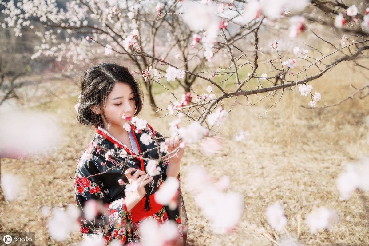 描写樱花的唯美句子（赞美樱花之美的唯美诗句赏析）