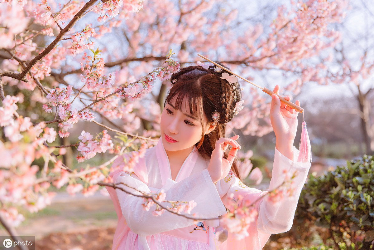 描写樱花的唯美句子（赞美樱花之美的唯美诗句赏析）