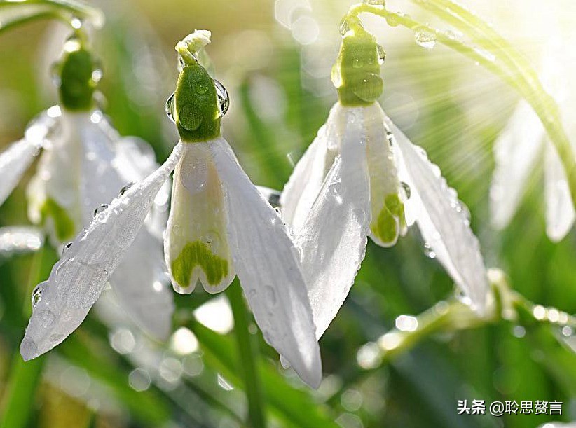 生日诗词大全唯美句子（精选这42首祝福古诗）