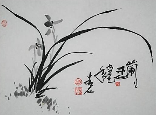 古代赞美兰花的诗词名句（描写兰花之美的80首古诗）