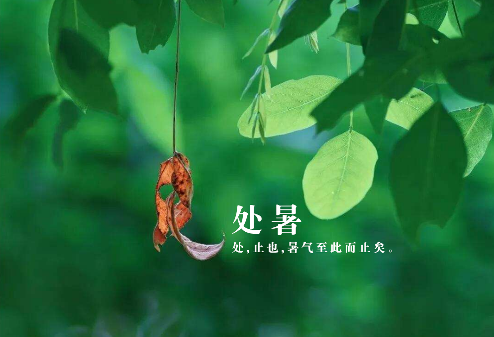 形容夏末初秋的诗句（关于夏末初秋的唯美诗词）