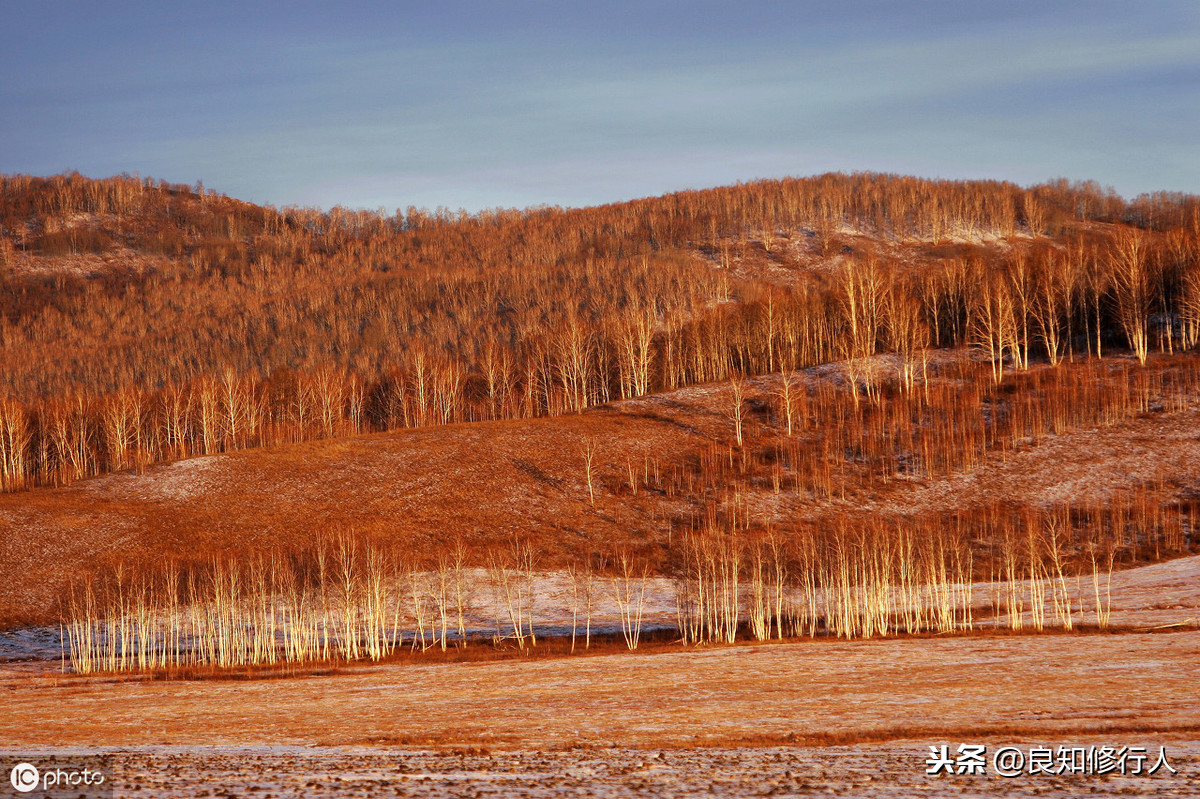 秦时明月汉时关全诗意思（出塞二首其一全诗赏析及解释）