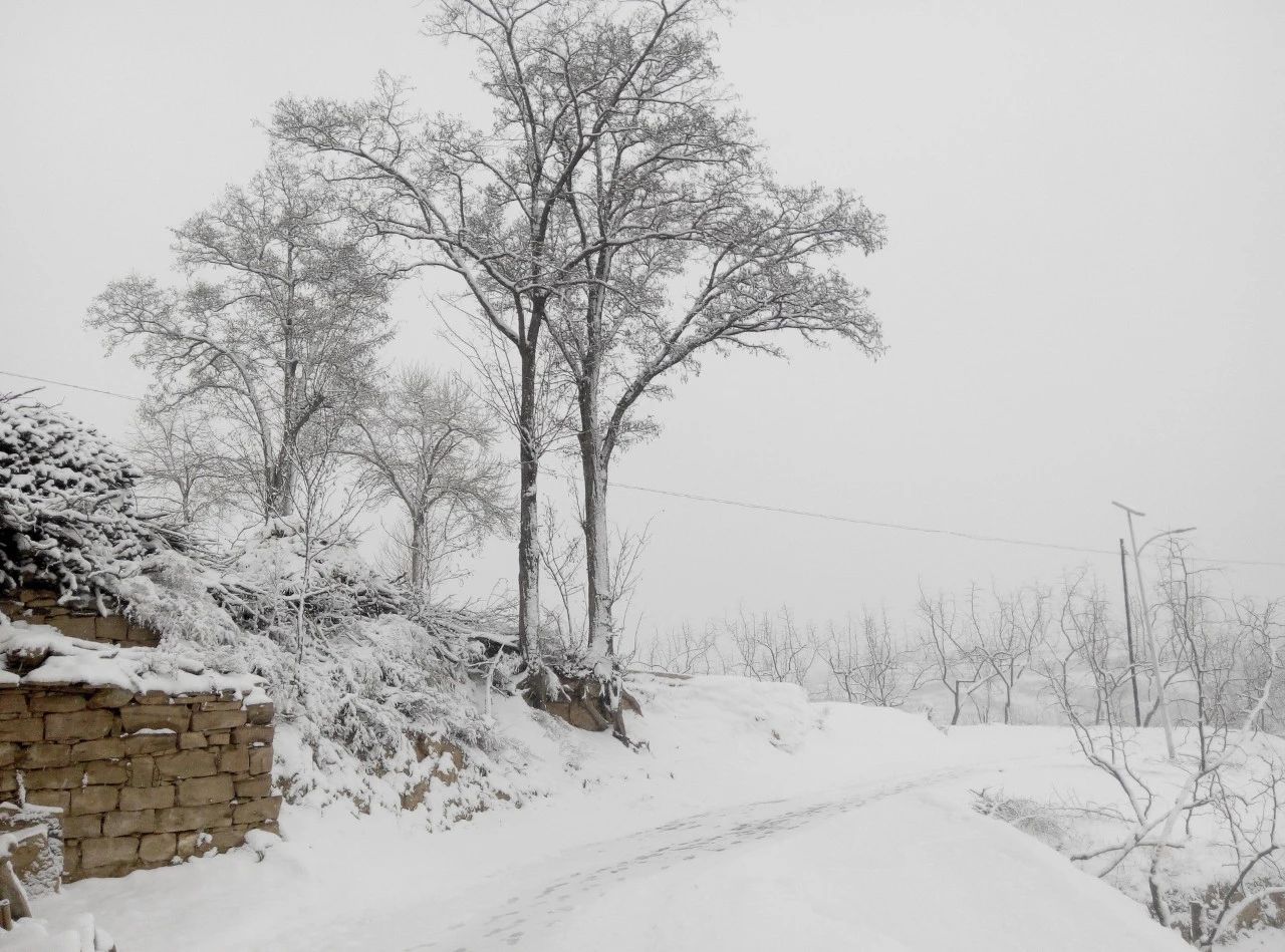 古代写雪的诗句有哪些（赞美雪景的8首唯美古诗）