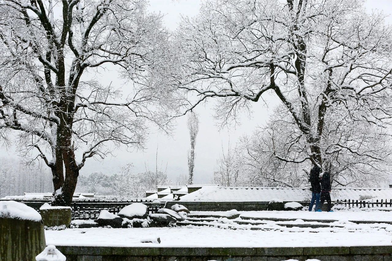 古代写雪的诗句有哪些（赞美雪景的8首唯美古诗）