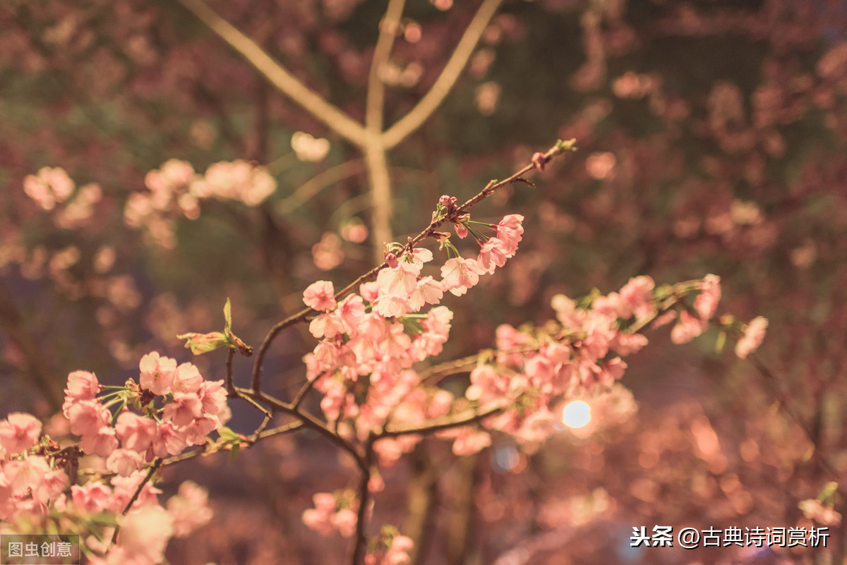 李清照浣溪沙赏析（浣溪沙古诗默写和诗意解读）