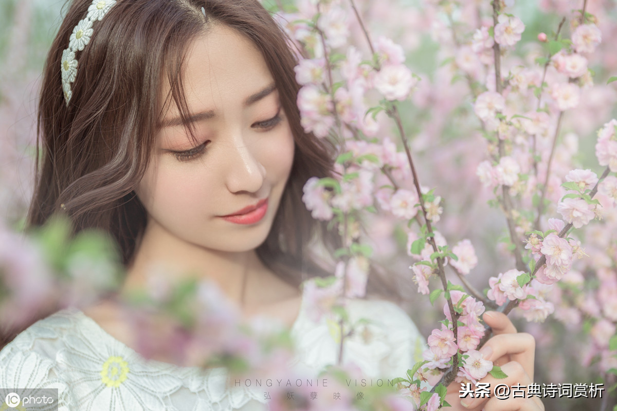 李清照浣溪沙赏析（浣溪沙古诗默写和诗意解读）