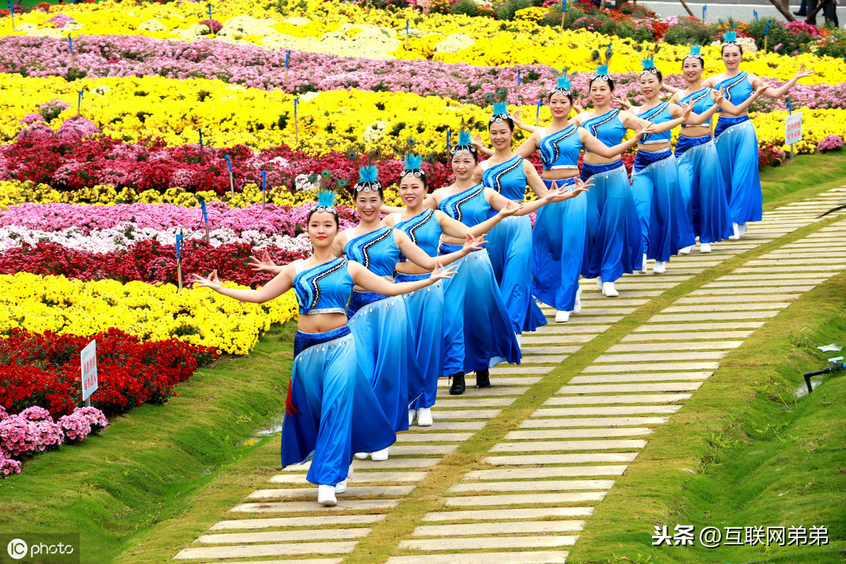 描写菊花古诗词100首（摘抄这30首赞美菊花的古诗）