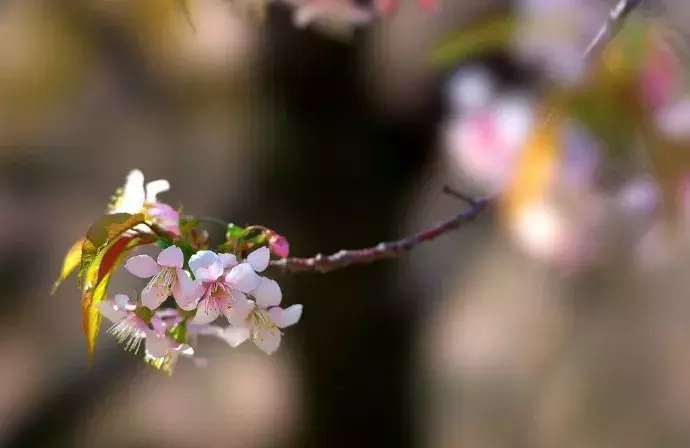 致自己奋斗励志诗句（不负青春好时光的10首励志诗）