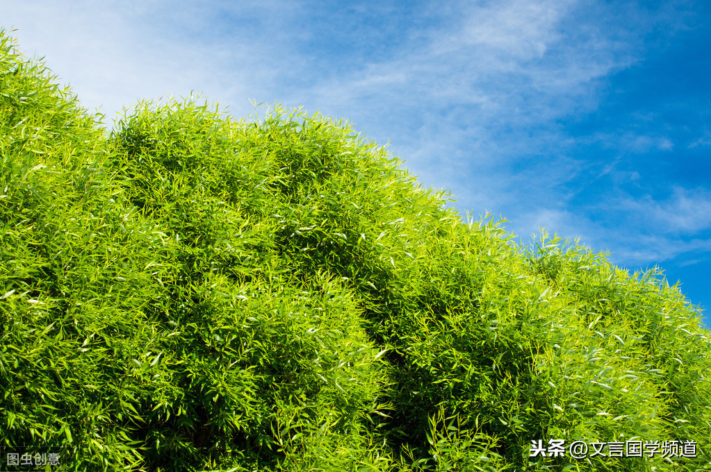 渭城朝雨浥轻尘的古诗（送元二使安西原文赏析和解释）