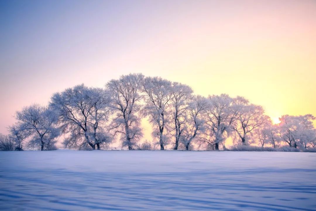 雪诗句有哪些（10首赞美雪景的唯美古诗词）