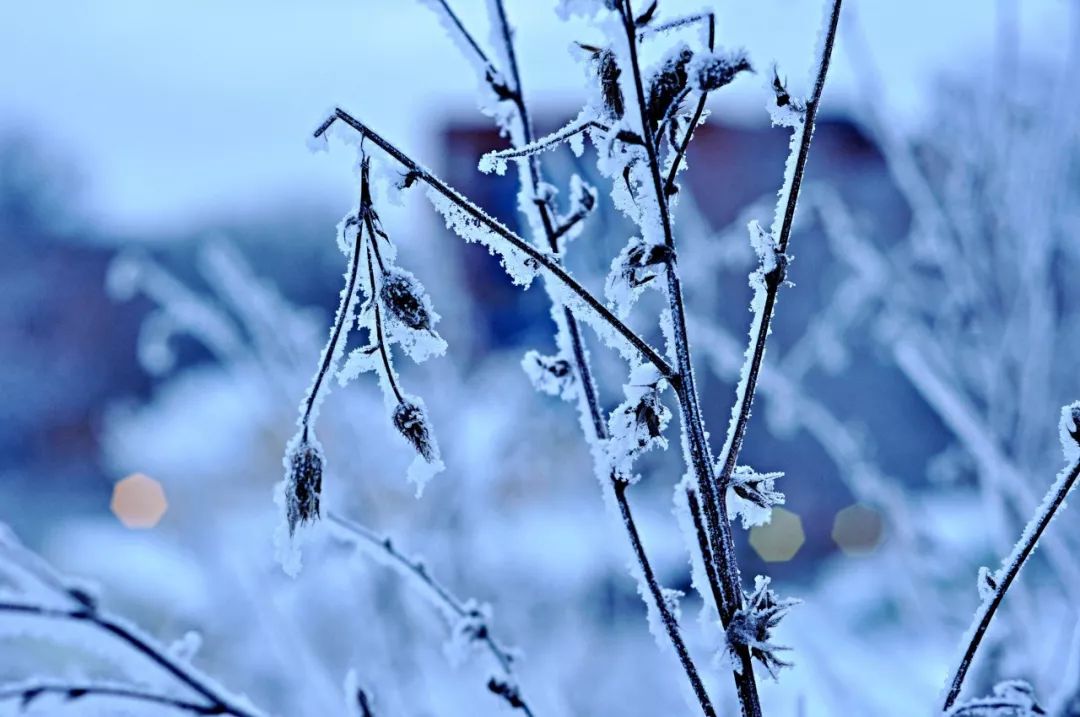 雪诗句有哪些（10首赞美雪景的唯美古诗词）