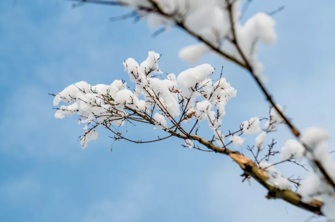 雪诗句有哪些（10首赞美雪景的唯美古诗词）