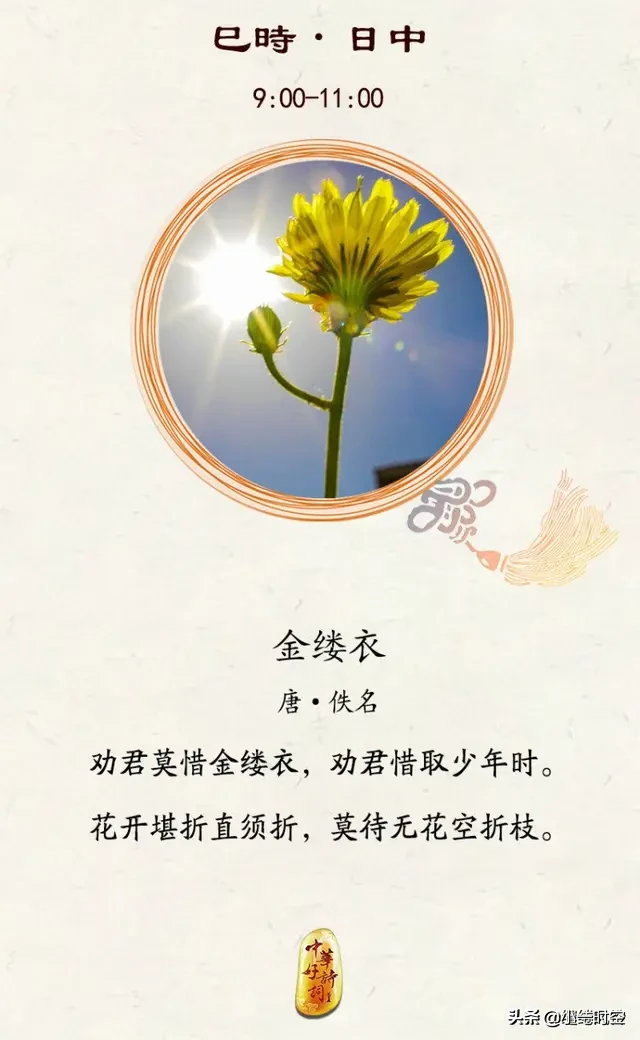 关于寒山寺的诗句有哪些（12首赞美寒山寺的经典古诗）