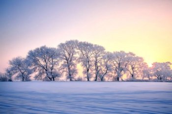 雪诗句有哪些（10首赞美雪景的唯美古诗词）