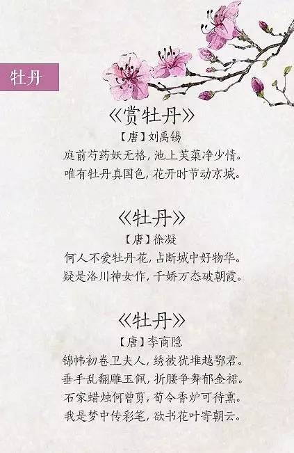 关于春花的诗句有哪些（赞美春季之花的古诗大全）