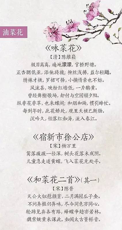 关于春花的诗句有哪些（赞美春季之花的古诗大全）