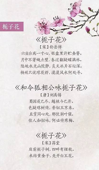 关于春花的诗句有哪些（赞美春季之花的古诗大全）