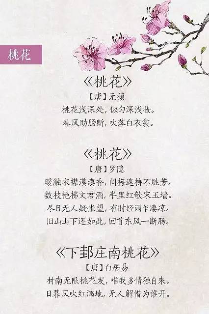 关于春花的诗句有哪些（赞美春季之花的古诗大全）