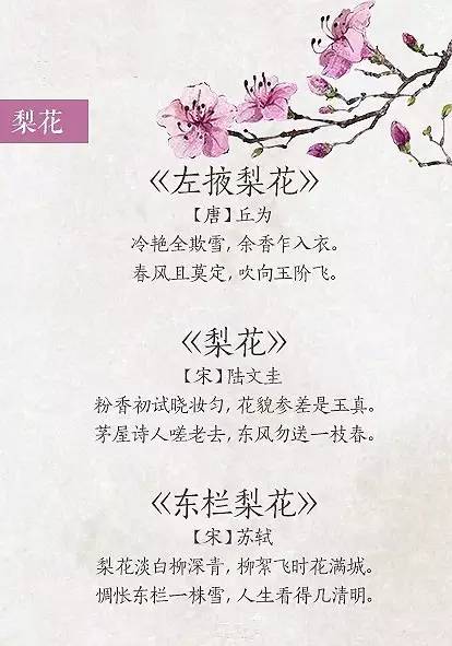 关于春花的诗句有哪些（赞美春季之花的古诗大全）