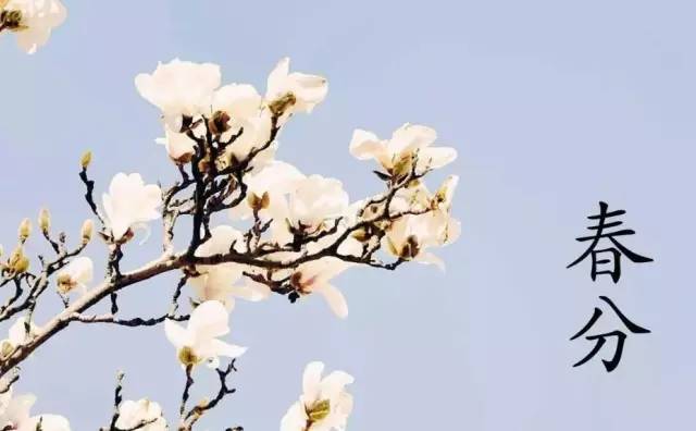 关于春花的诗句有哪些（赞美春季之花的古诗大全）