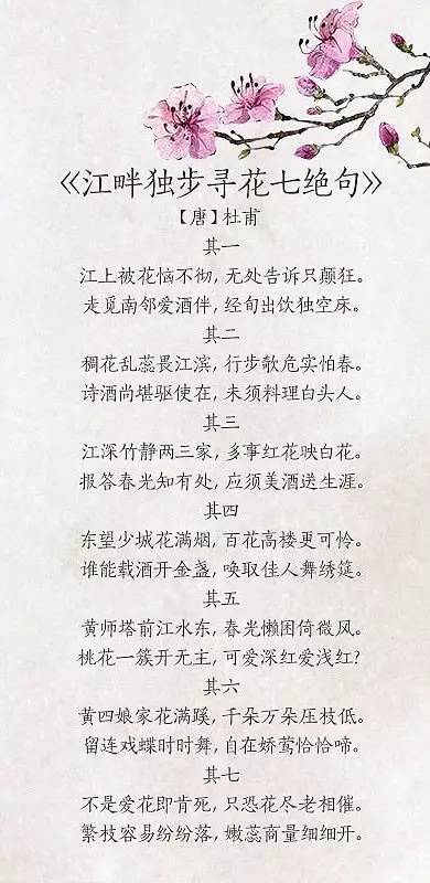 关于春花的诗句有哪些（赞美春季之花的古诗大全）