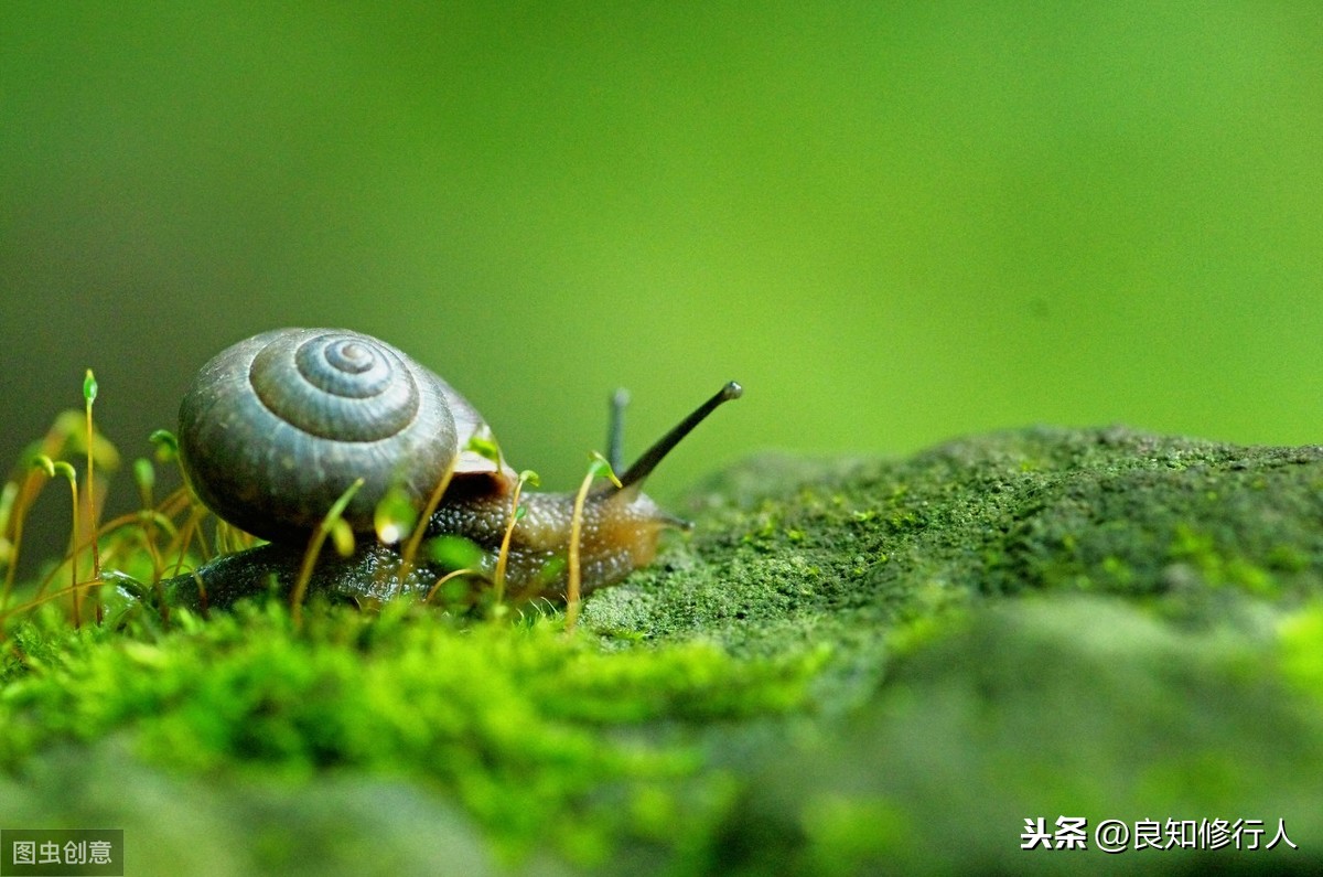李白诗集长相思全诗（长相思其二诗文赏析和诗意）