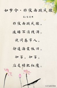 如梦令古诗意思解释（如梦令·昨夜雨疏风骤赏析和注释）