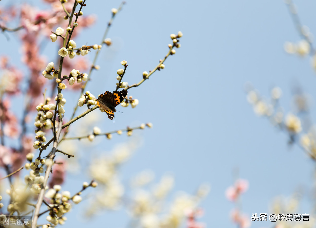 王令送春的诗意是什么（送春全文赏析和诗意解读）