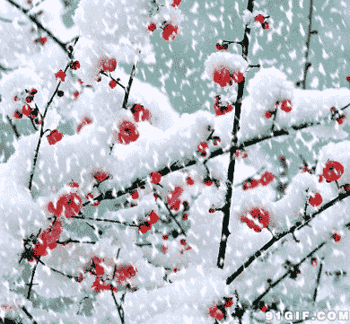有关雪的诗句有哪些（赞美雪景之美的66条唯美诗词）
