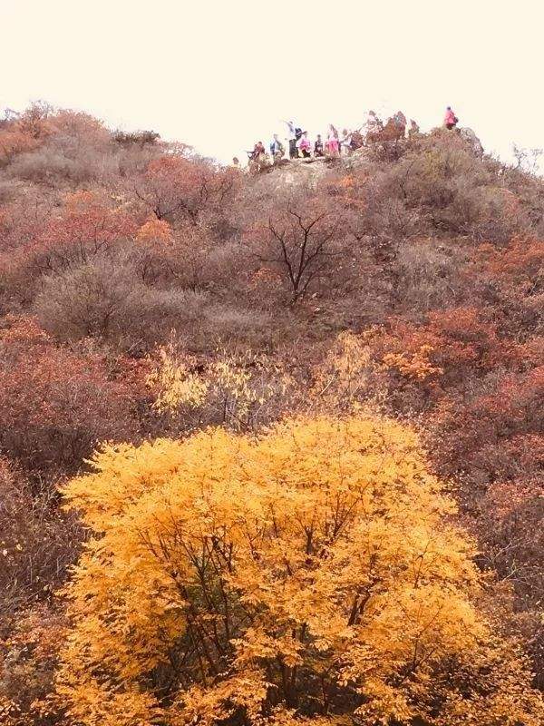 关于登山古诗词名句（最出名的6首登山古诗词）