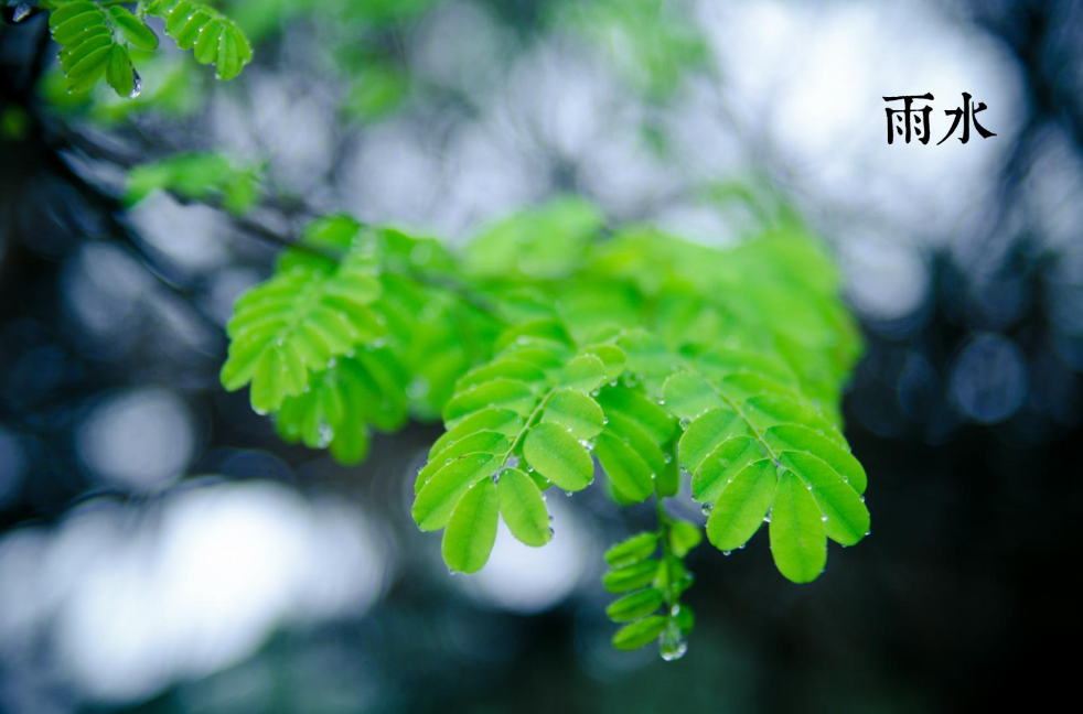 关于描写雨的古诗有哪些（唯美煽情的10首雨景诗）