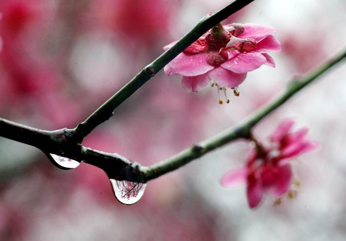 关于描写雨的古诗有哪些（唯美煽情的10首雨景诗）