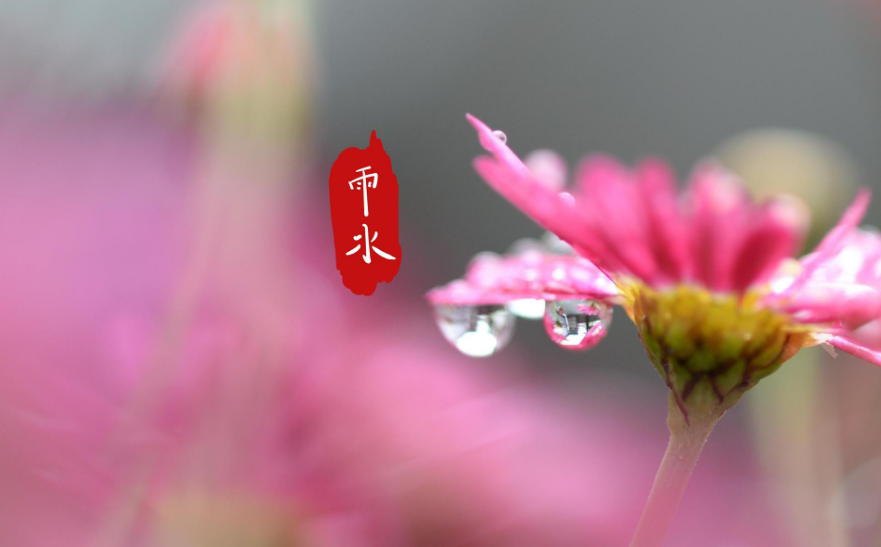 关于描写雨的古诗有哪些（唯美煽情的10首雨景诗）