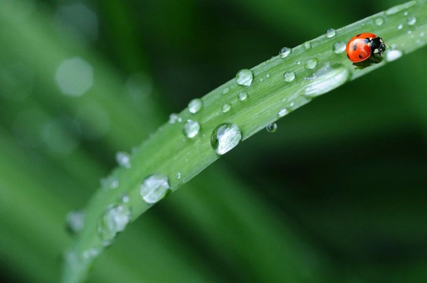 写雨的诗歌有哪些（关于写雨的诗10首）