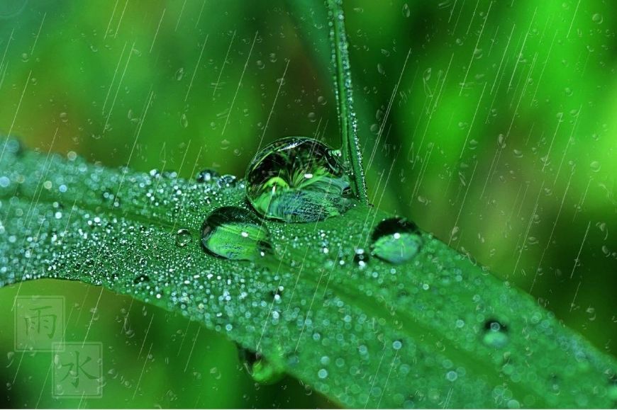 写雨的诗歌有哪些（关于写雨的诗10首）