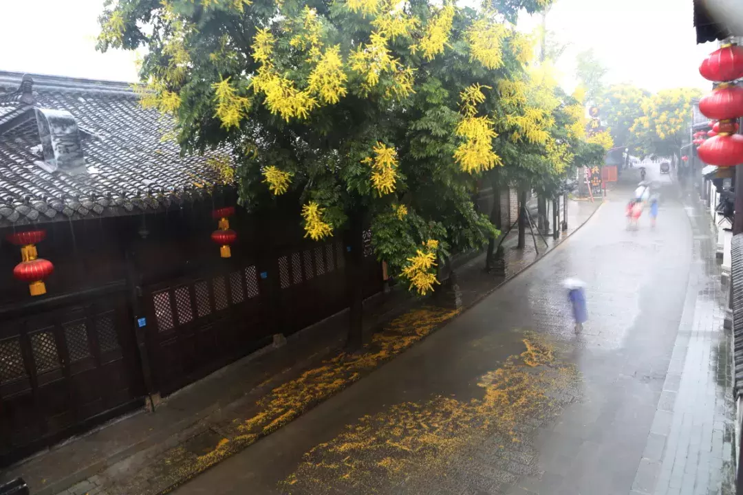 秋雨古诗词大全集（关于秋雨的诗词佳句）