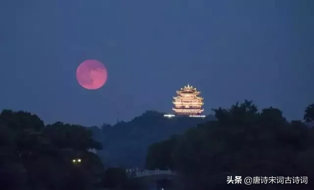 带有酒的诗词（关于酒的古诗10首）