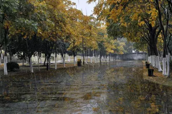 秋雨古诗词大全集（关于秋雨的诗词佳句）